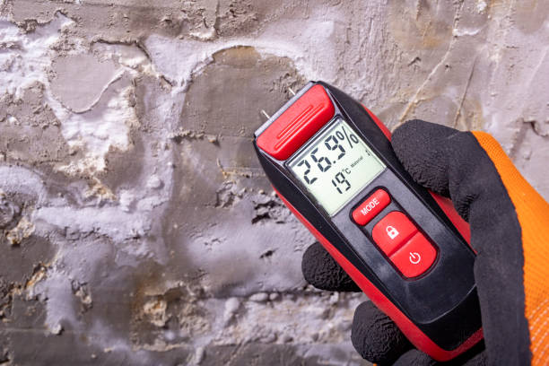 Best Residential Mold Removal  in Sleepy Hollow, NY