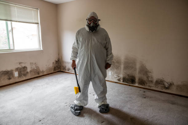 Trusted Sleepy Hollow, NY Mold Removal Experts